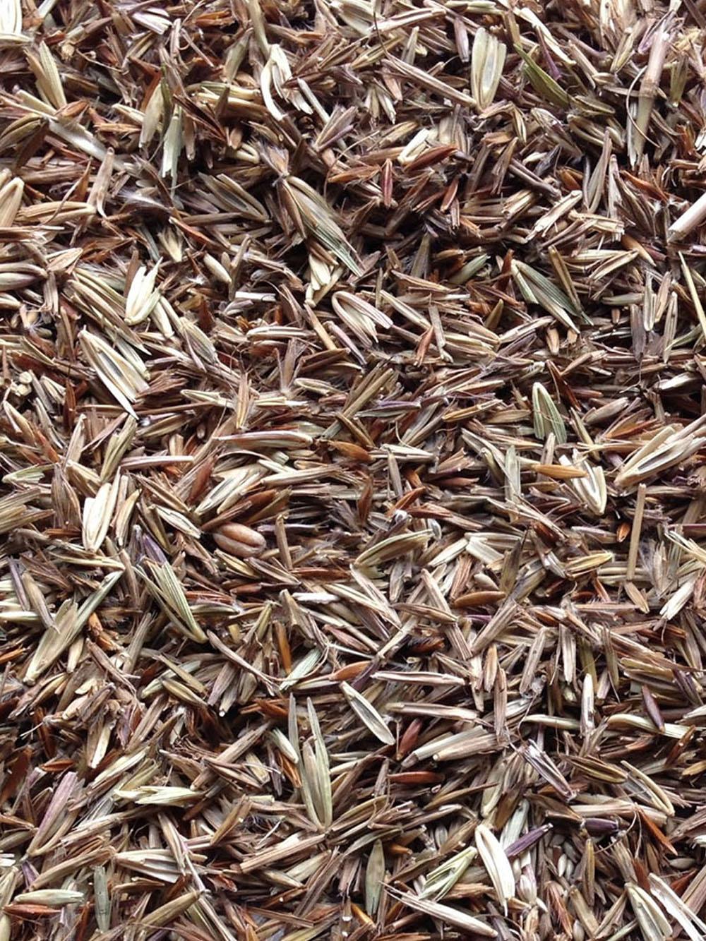 Upland Native Grass Mix